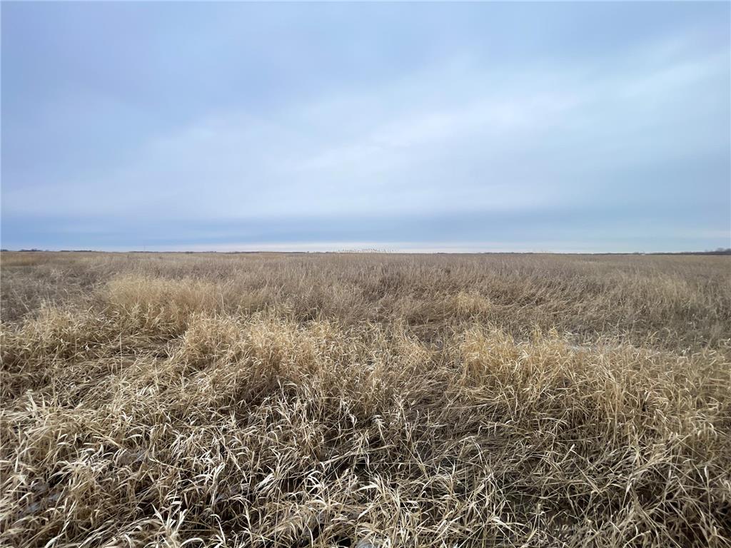 TBD 170th Street NW Numedal Twp MN 56701 7053946 image26