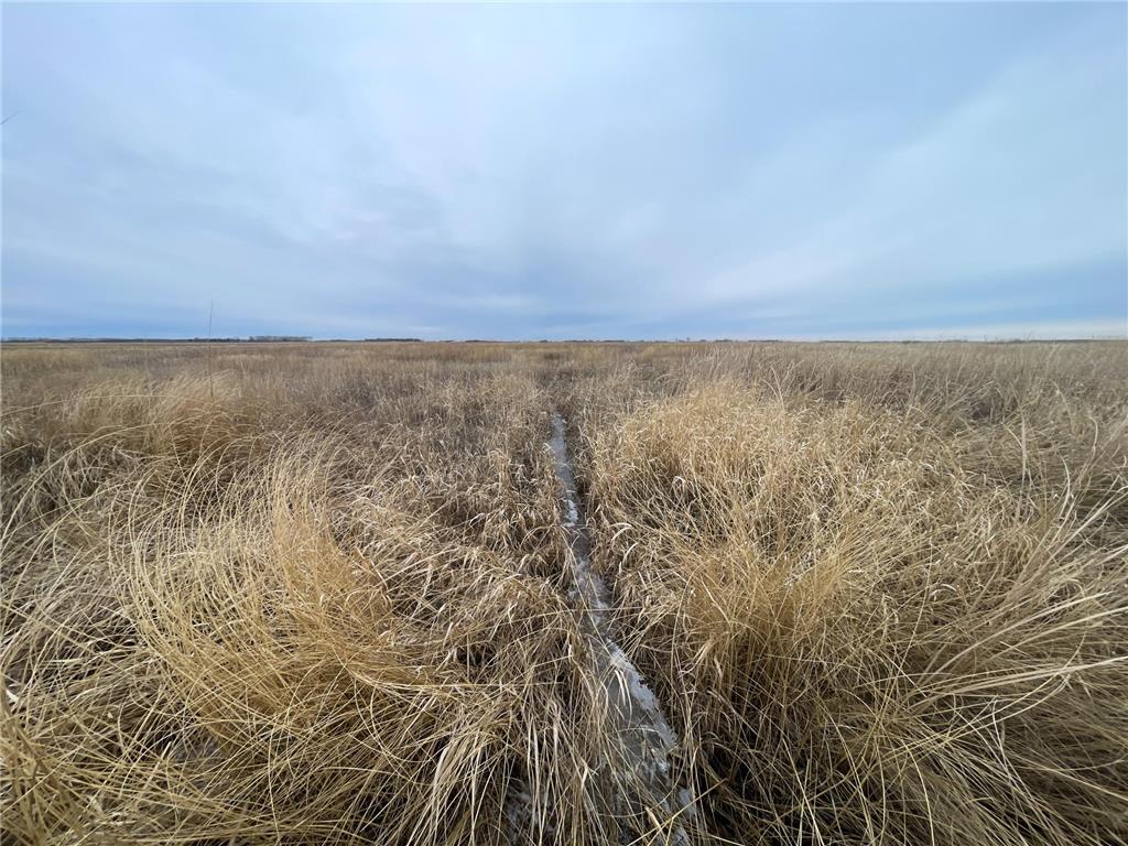 TBD 170th Street NW Numedal Twp MN 56701 7053946 image27