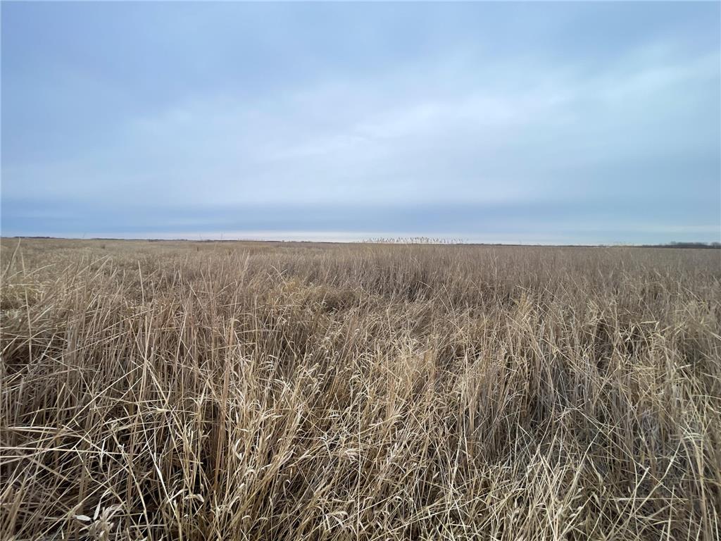 TBD 170th Street NW Numedal Twp MN 56701 7053946 image28