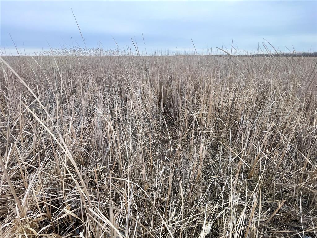 TBD 170th Street NW Numedal Twp MN 56701 7053946 image29