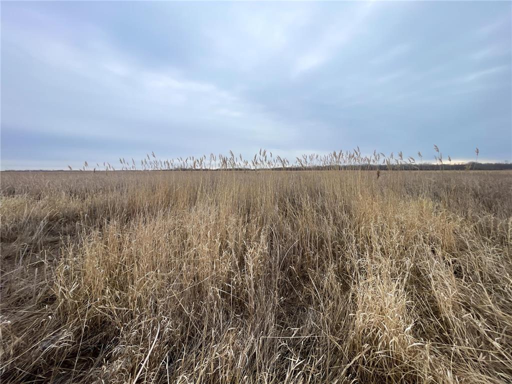 TBD 170th Street NW Numedal Twp MN 56701 7053946 image30