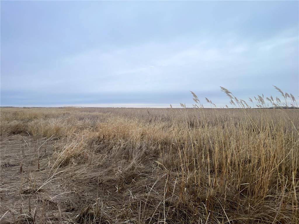 TBD 170th Street NW Numedal Twp MN 56701 7053946 image31