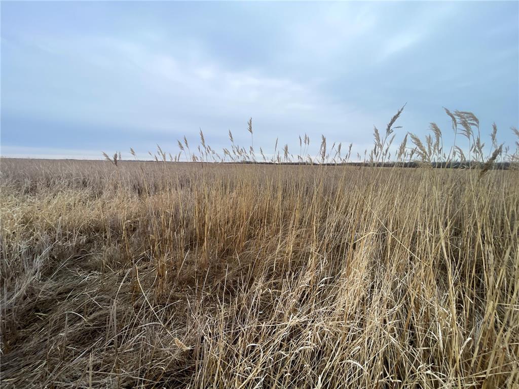 TBD 170th Street NW Numedal Twp MN 56701 7053946 image32