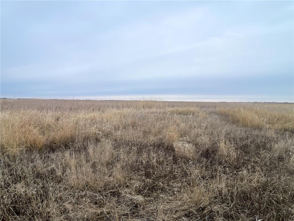 TBD 170th Street NW Numedal Twp MN 56701 7053946 image33