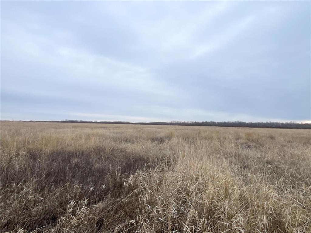 TBD 170th Street NW Numedal Twp MN 56701 7053946 image34