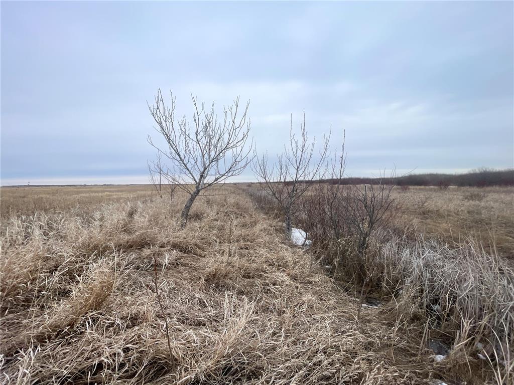TBD 170th Street NW Numedal Twp MN 56701 7053946 image36