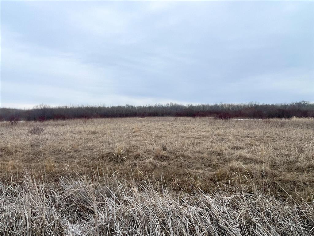 TBD 170th Street NW Numedal Twp MN 56701 7053946 image37
