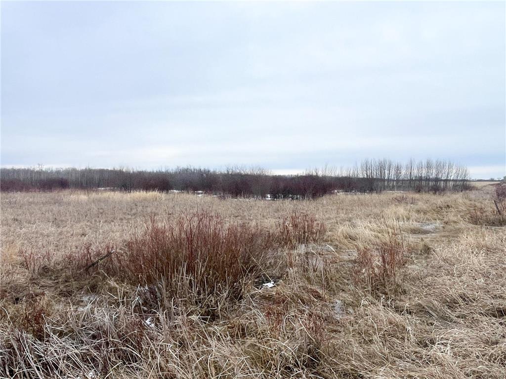 TBD 170th Street NW Numedal Twp MN 56701 7053946 image38