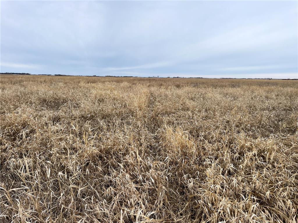 TBD 170th Street NW Numedal Twp MN 56701 7053946 image39