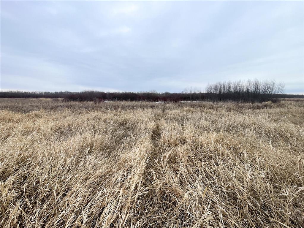 TBD 170th Street NW Numedal Twp MN 56701 7053946 image40