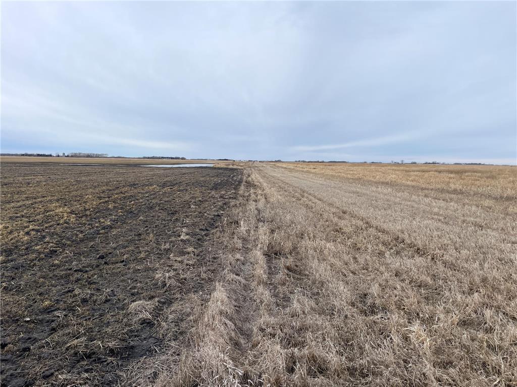 TBD 170th Street NW Numedal Twp MN 56701 7053946 image41