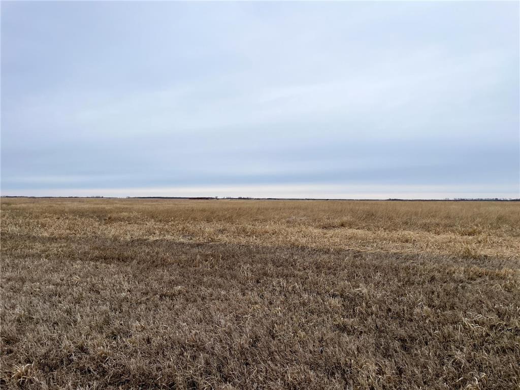 TBD 170th Street NW Numedal Twp MN 56701 7053946 image42
