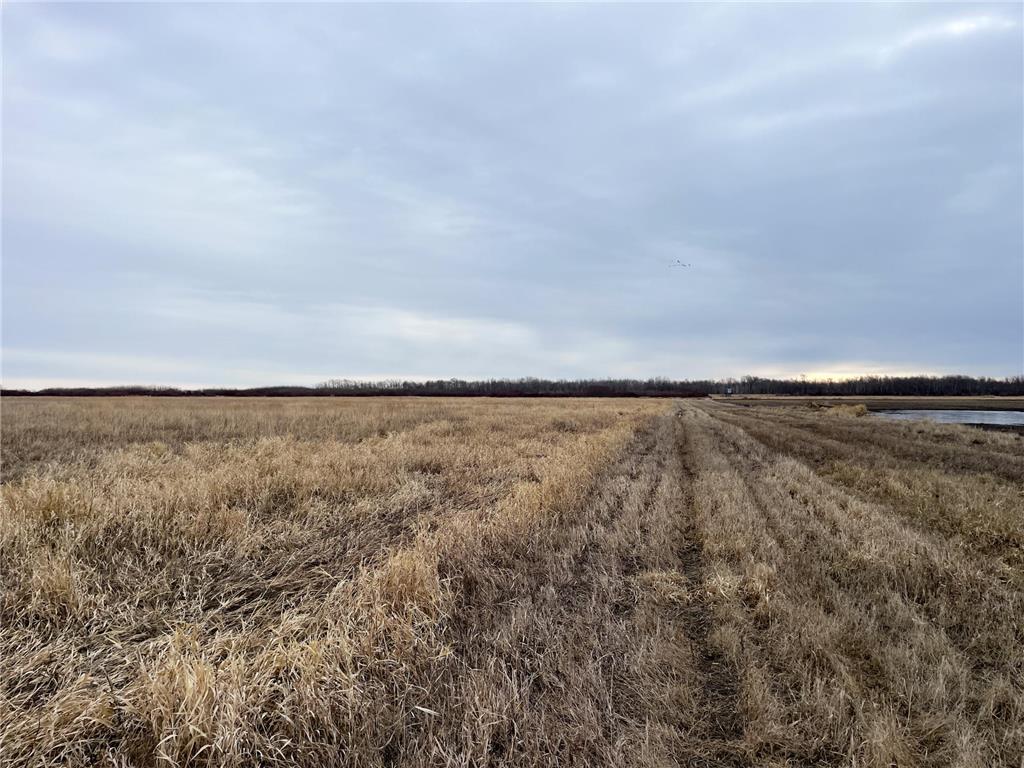 TBD 170th Street NW Numedal Twp MN 56701 7053946 image9