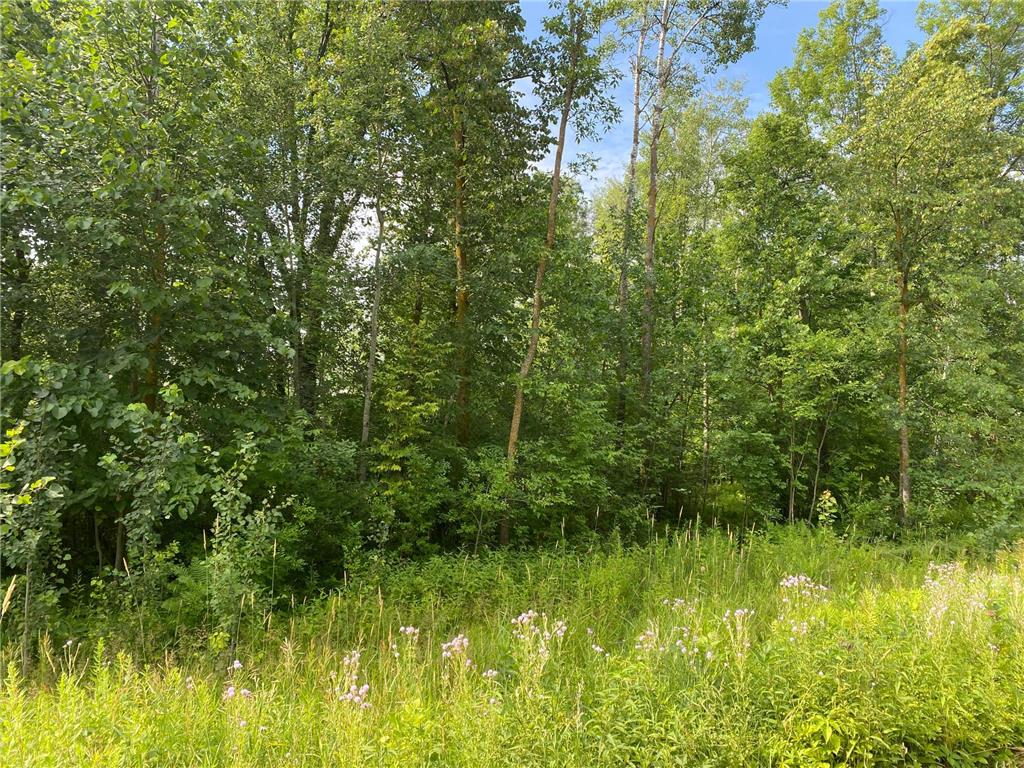 TBD 175th Ogilvie MN 56358 6814886 image2