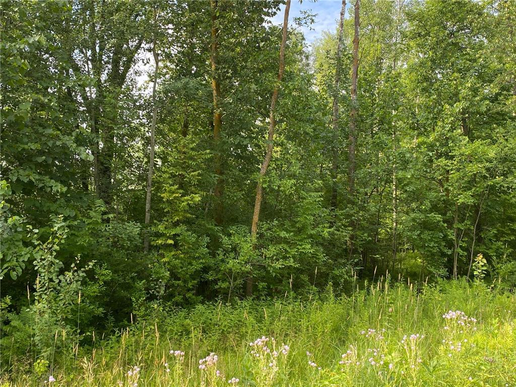 TBD 175th Ogilvie MN 56358 6814886 image3