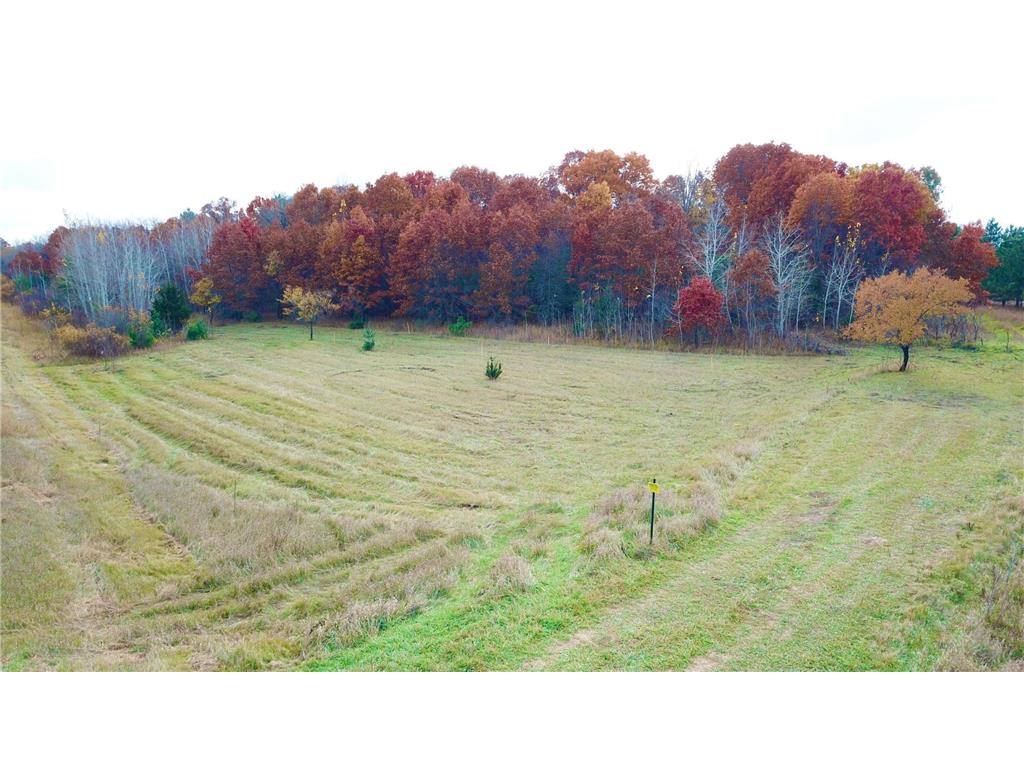 TBD 17th Street Santiago Twp MN 55319 6809562 image11