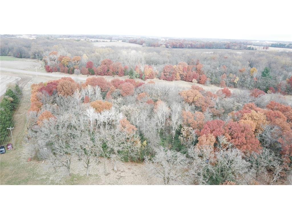 TBD 17th Street Santiago Twp MN 55319 6809562 image3