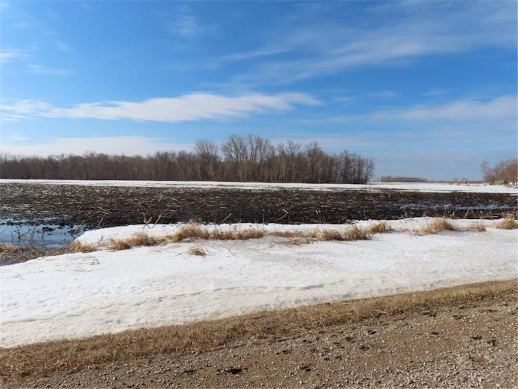 TBD 180TH Street NW Numedal Twp MN 56701 7040650 image1