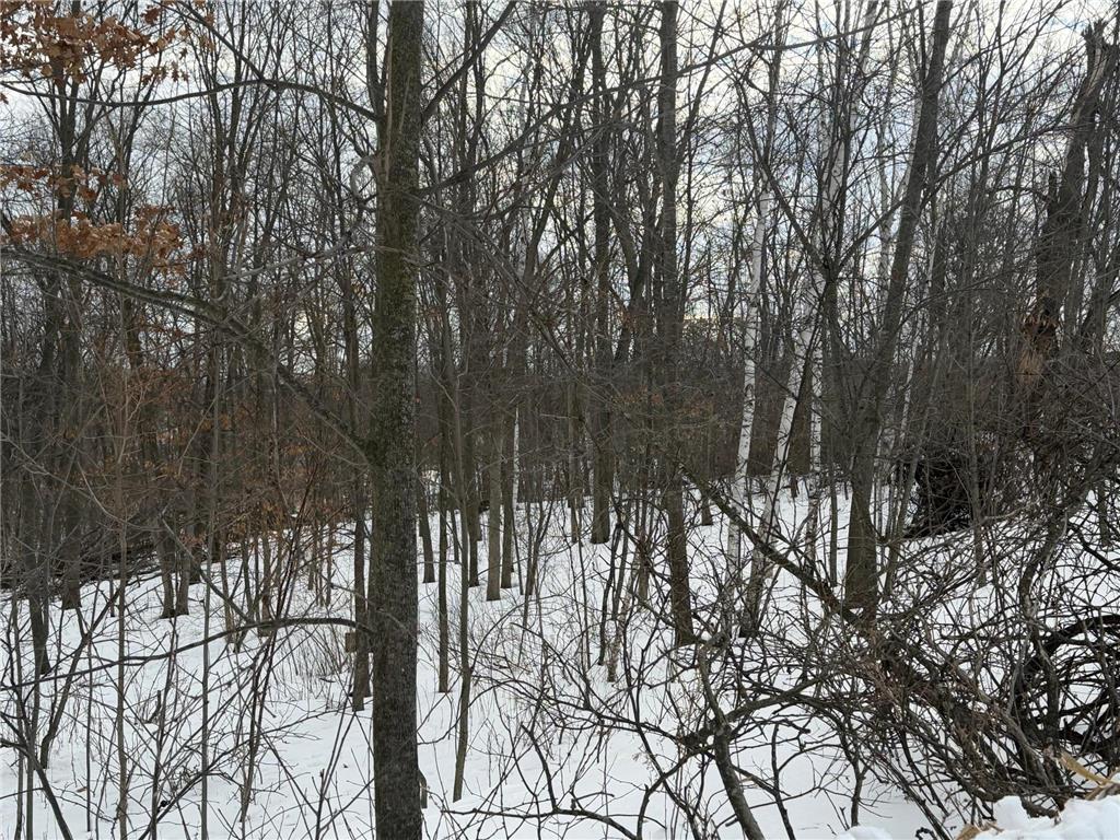 TBD 180th Avenue Georgetown Twp WI 54810 7017913 image1