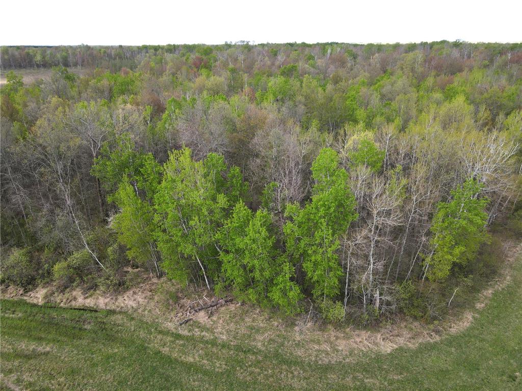 TBD 180th Avenue Mcgrath MN 56350 7077400 image9