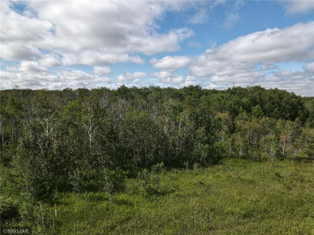 TBD 180th Avenue NW Newfolden MN 56738 6373192 image1
