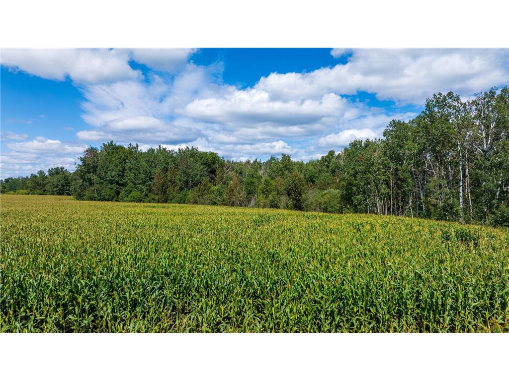 TBD 180th Street Verndale MN 56481 6779597 image1