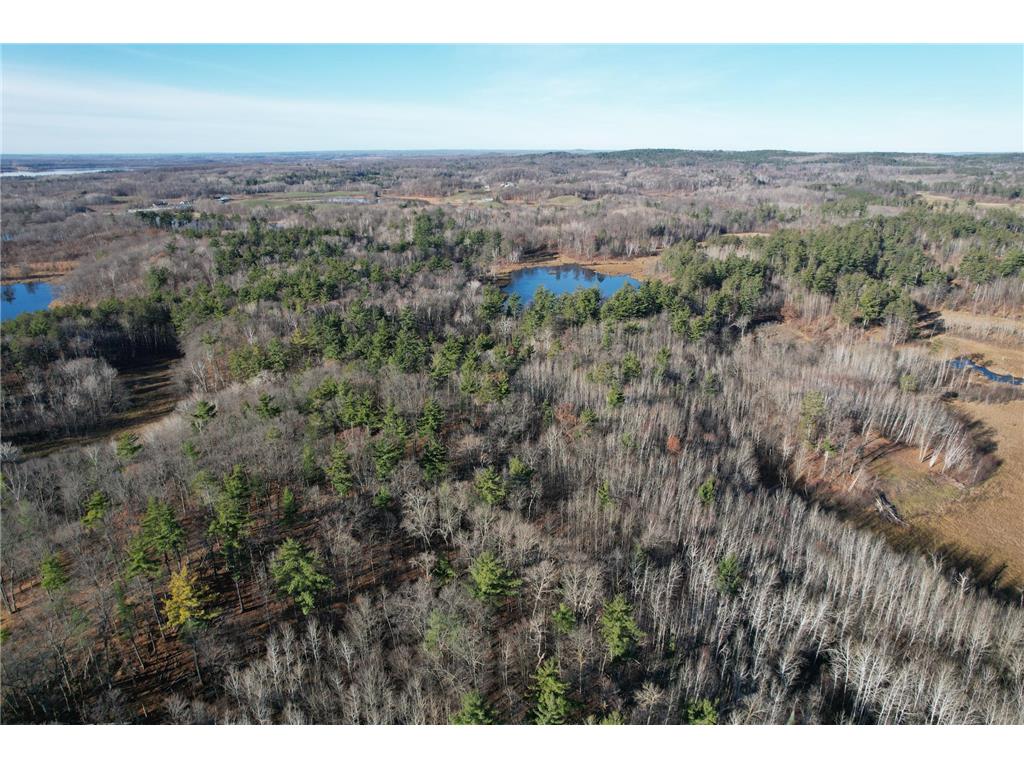 TBD 180th Street Wolf Lake Twp MN 56570 6465503 image1