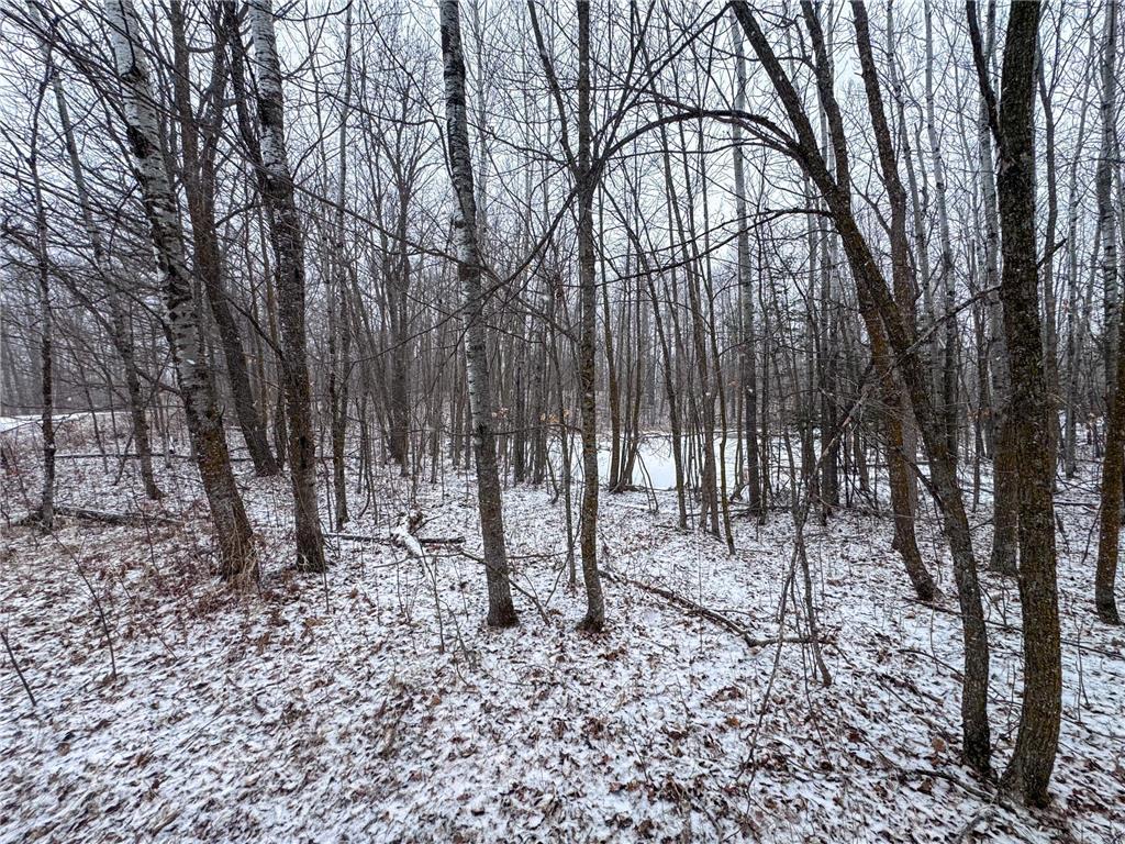 TBD 181st Avenue Clearbrook MN 56634 7044398 image12