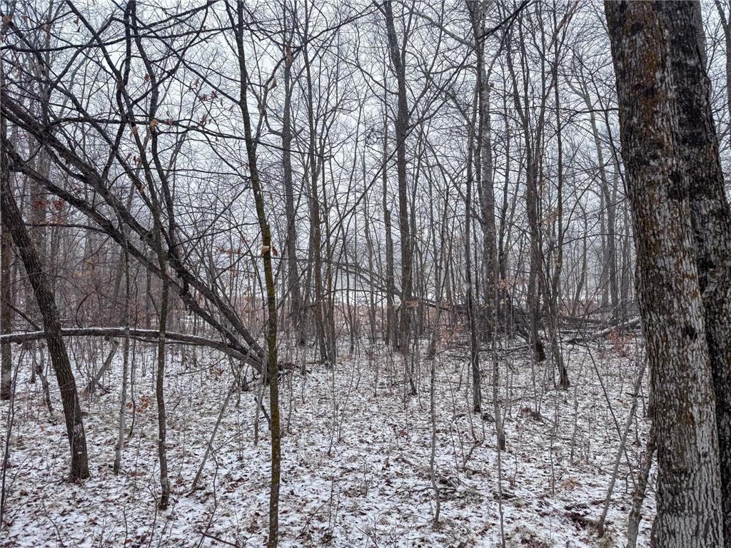 TBD 181st Avenue Clearbrook MN 56634 7044398 image17