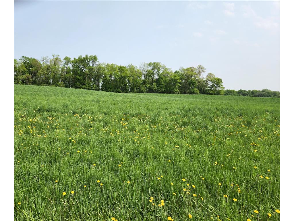 TBD 188th Avenue Wakefield Twp MN 56368 6373313 image1