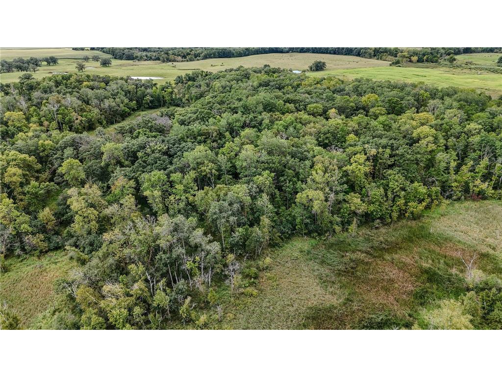 TBD 190th Street Long Prairie MN 56347 6783455 image1
