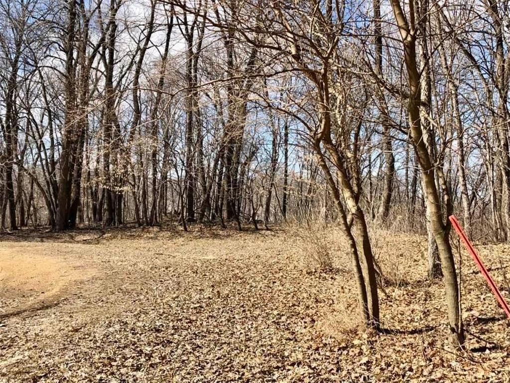 TBD 192nd Lane Lake Crystal MN 56055 6272446 image1