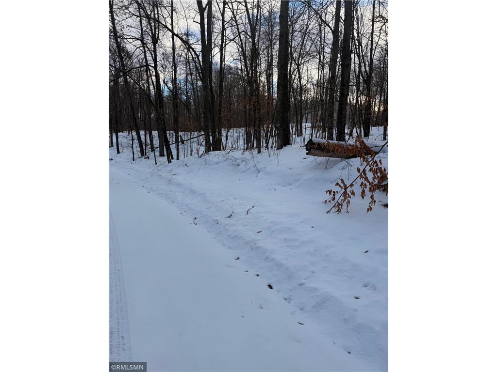 TBD 193rd Avenue Shamrock Twp MN 55760 7044786 image1