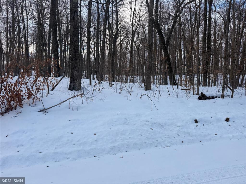 TBD 193rd Avenue Shamrock Twp MN 55760 7044786 image2
