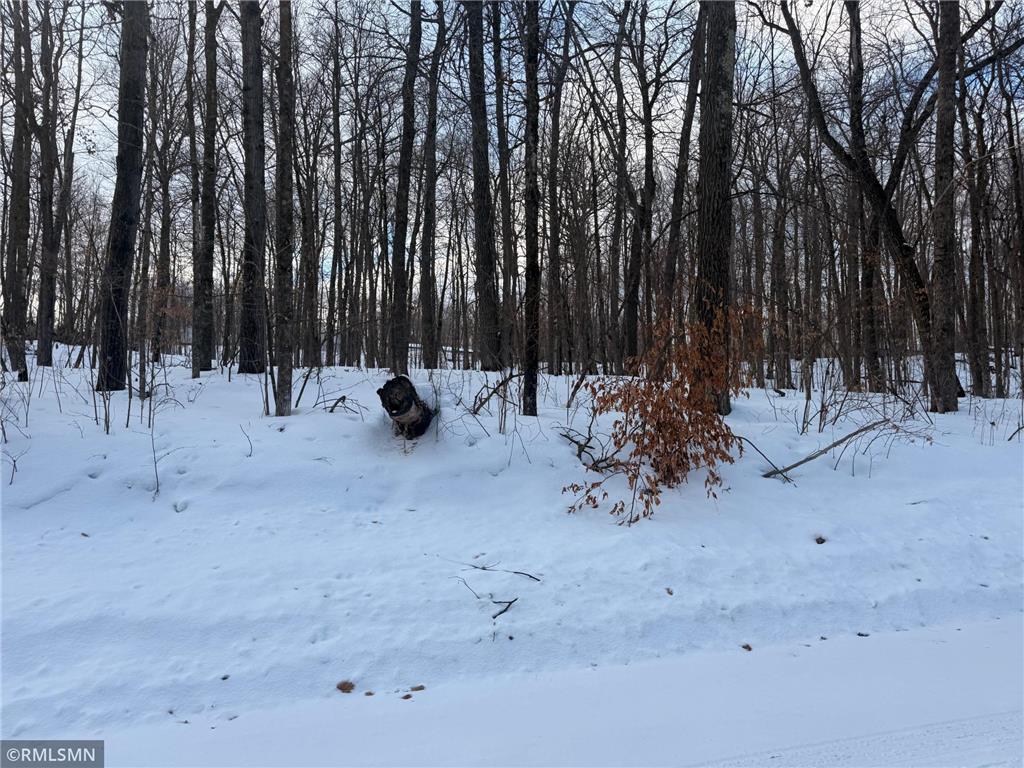 TBD 193rd Avenue Shamrock Twp MN 55760 7044786 image3