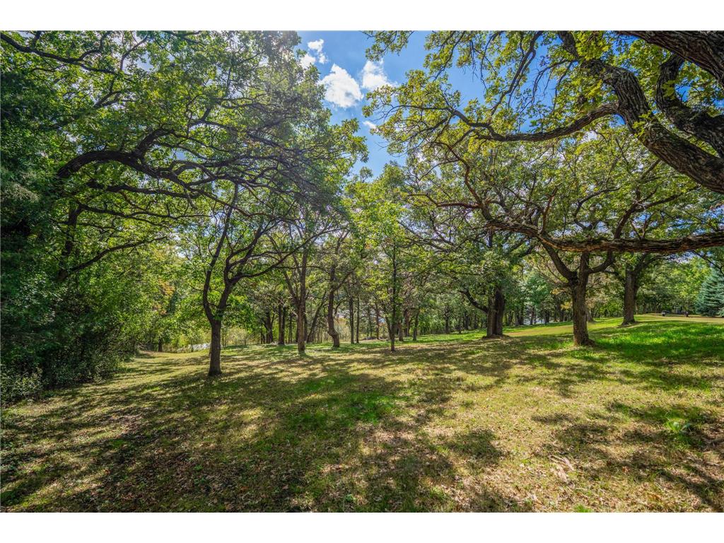 TBD` 198th Avenue NE New London Twp MN 56273 - Crow River 6796388 image4