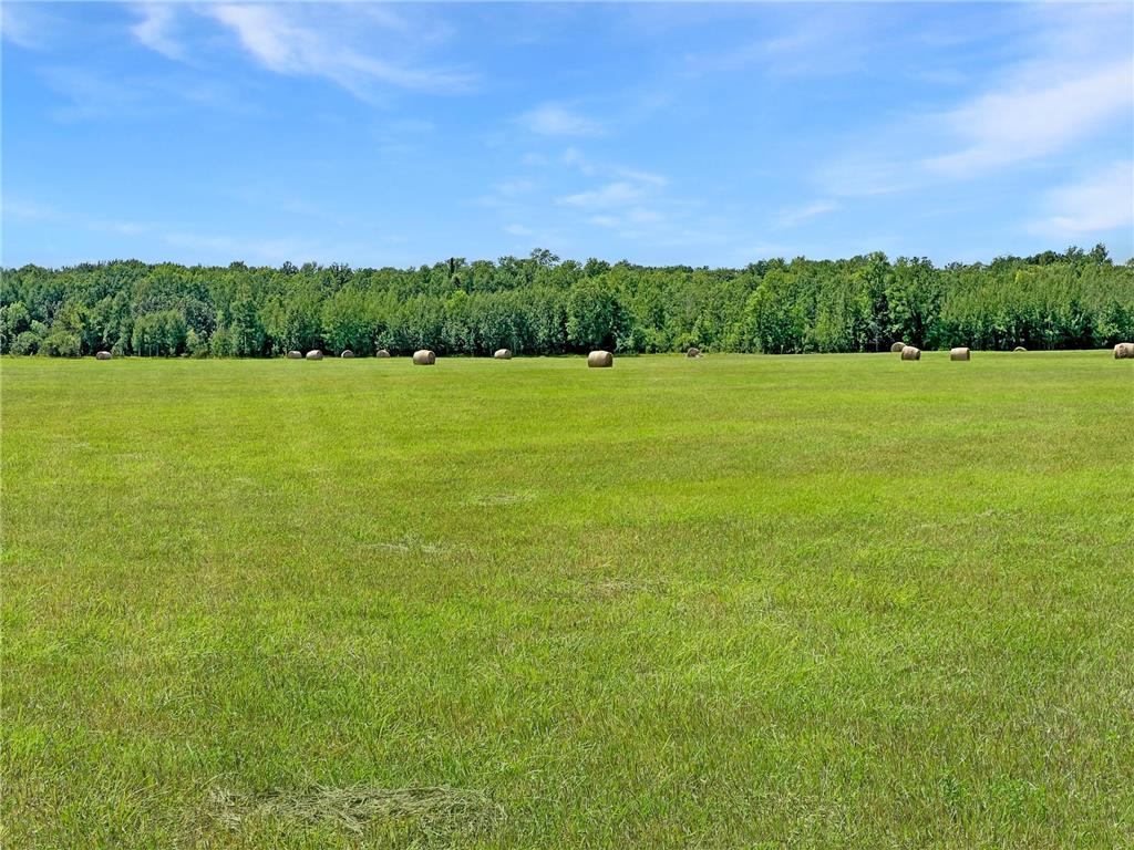 TBD 199th Ave Clearbrook MN 56634 - Clearwater River 6768769 image1