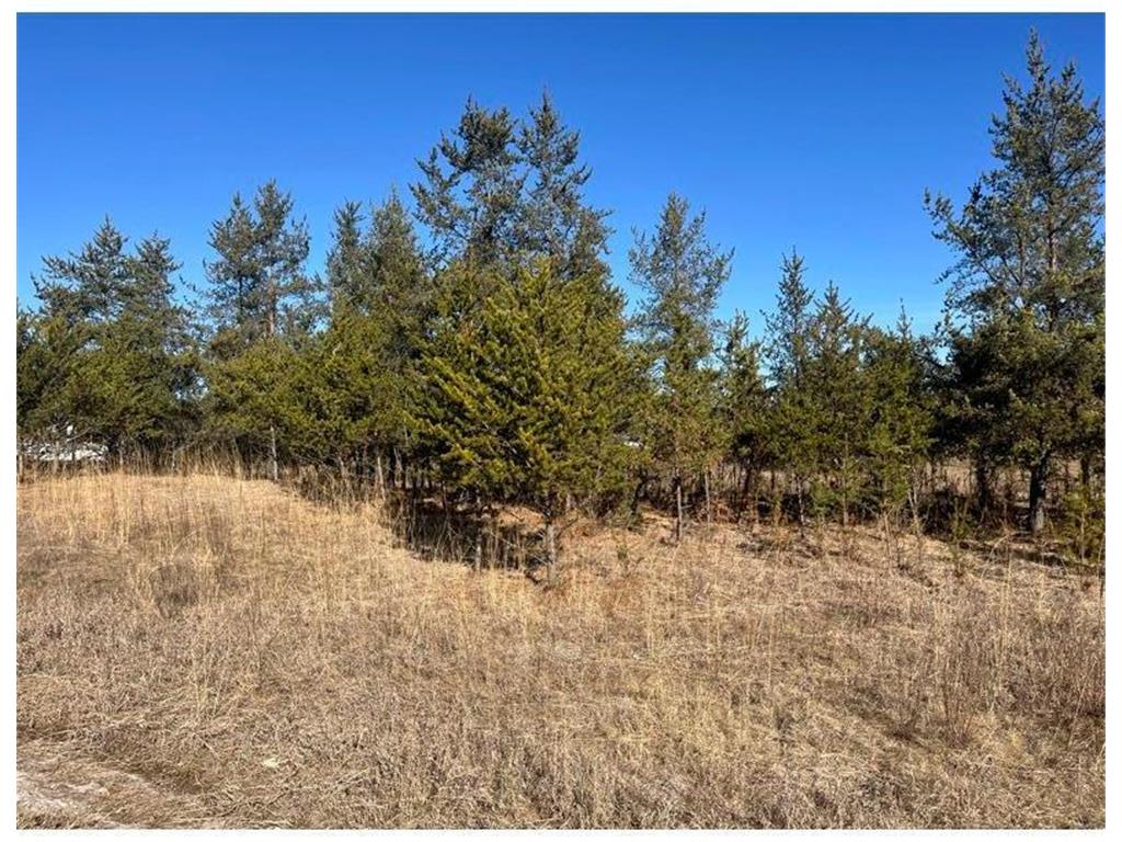 TBD 1st Avenue Breezy Point MN 56472 - Ossawinnamakee 6680684 image23