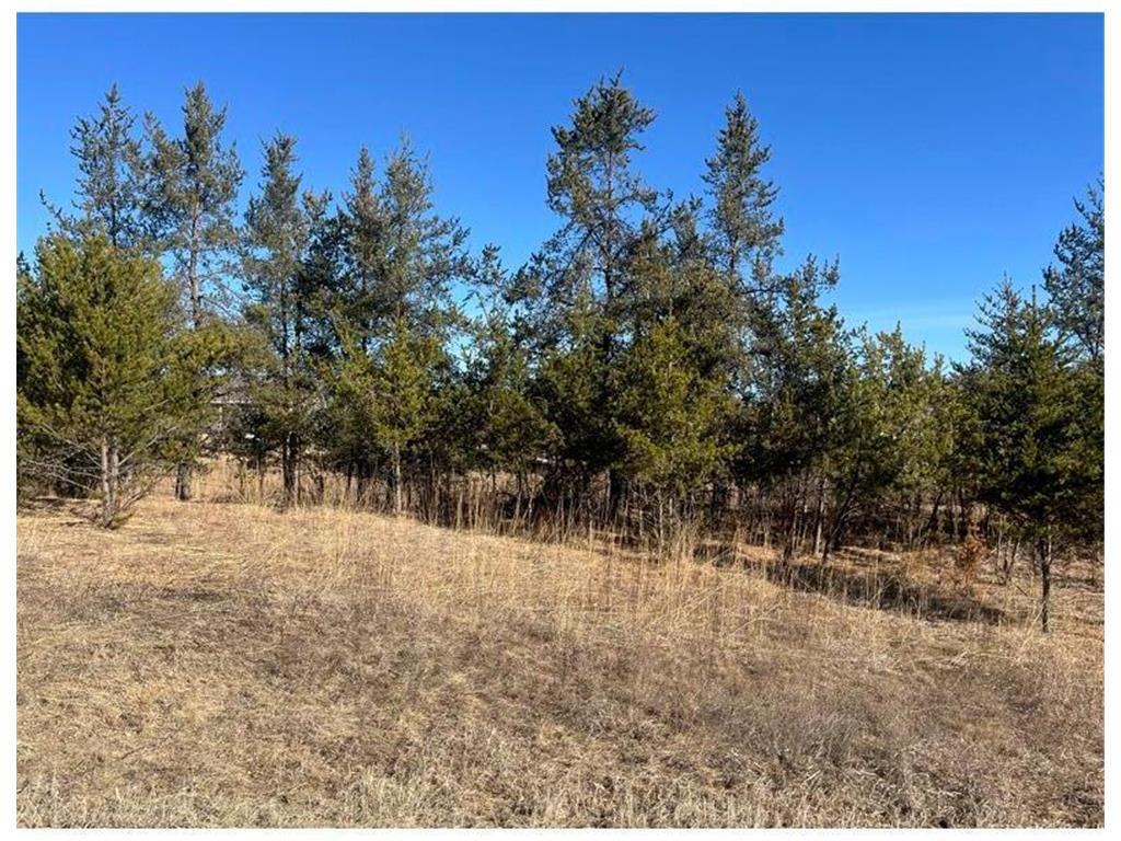 TBD 1st Avenue Breezy Point MN 56472 - Ossawinnamakee 6680684 image24