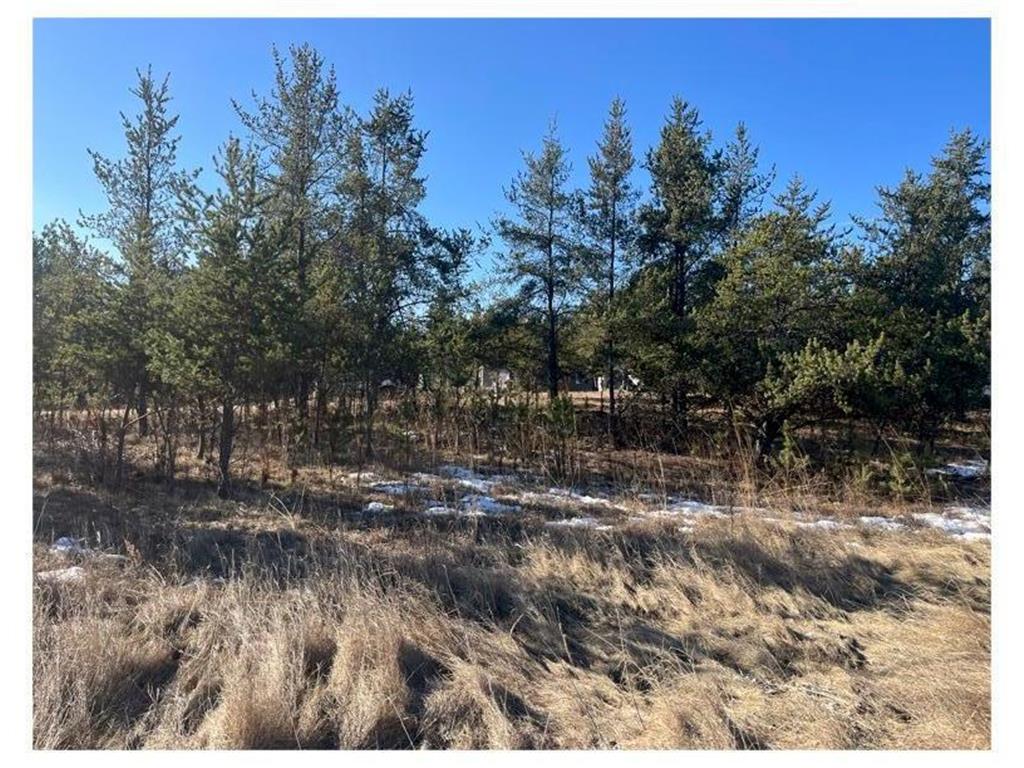 TBD 1st Avenue Breezy Point MN 56472 - Ossawinnamakee 6680684 image27