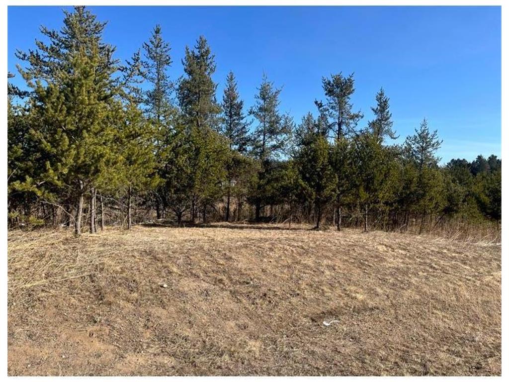 TBD 1st Avenue Breezy Point MN 56472 - Ossawinnamakee 7029693 image2