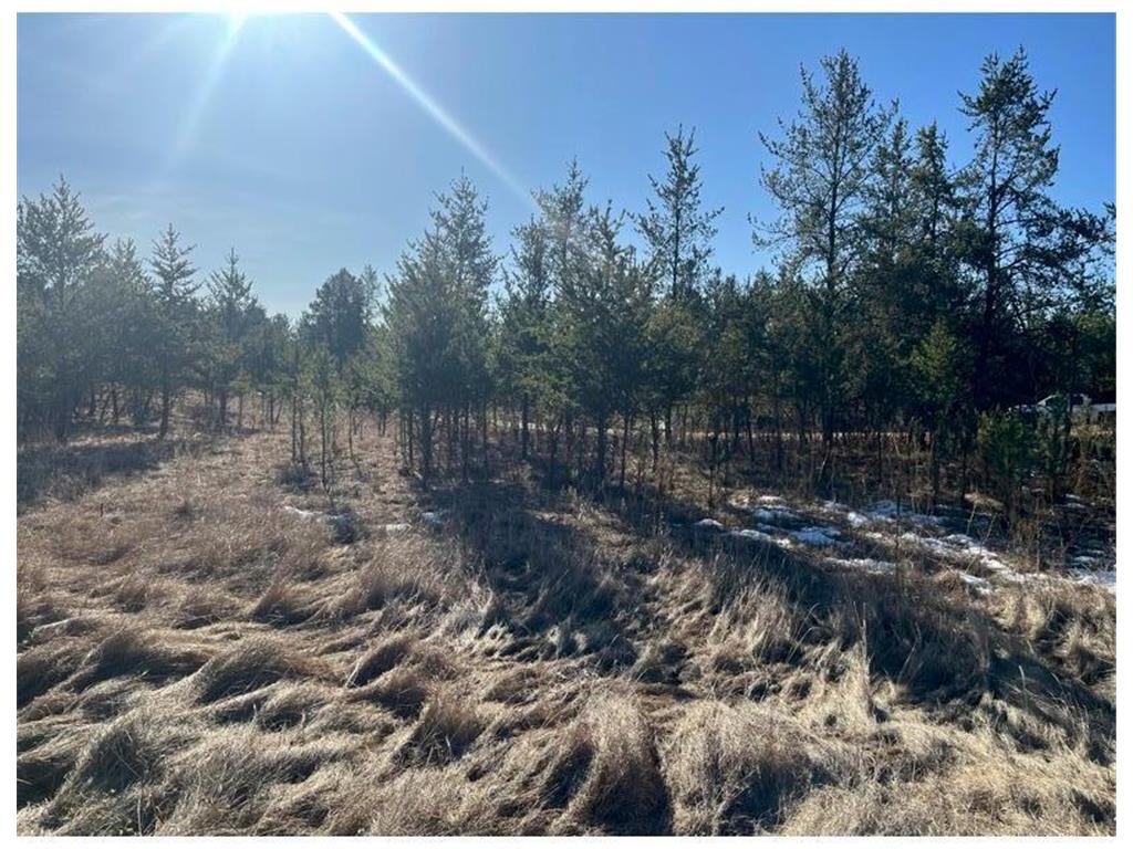 TBD 1st Avenue Breezy Point MN 56472 - Ossawinnamakee 7029693 image26