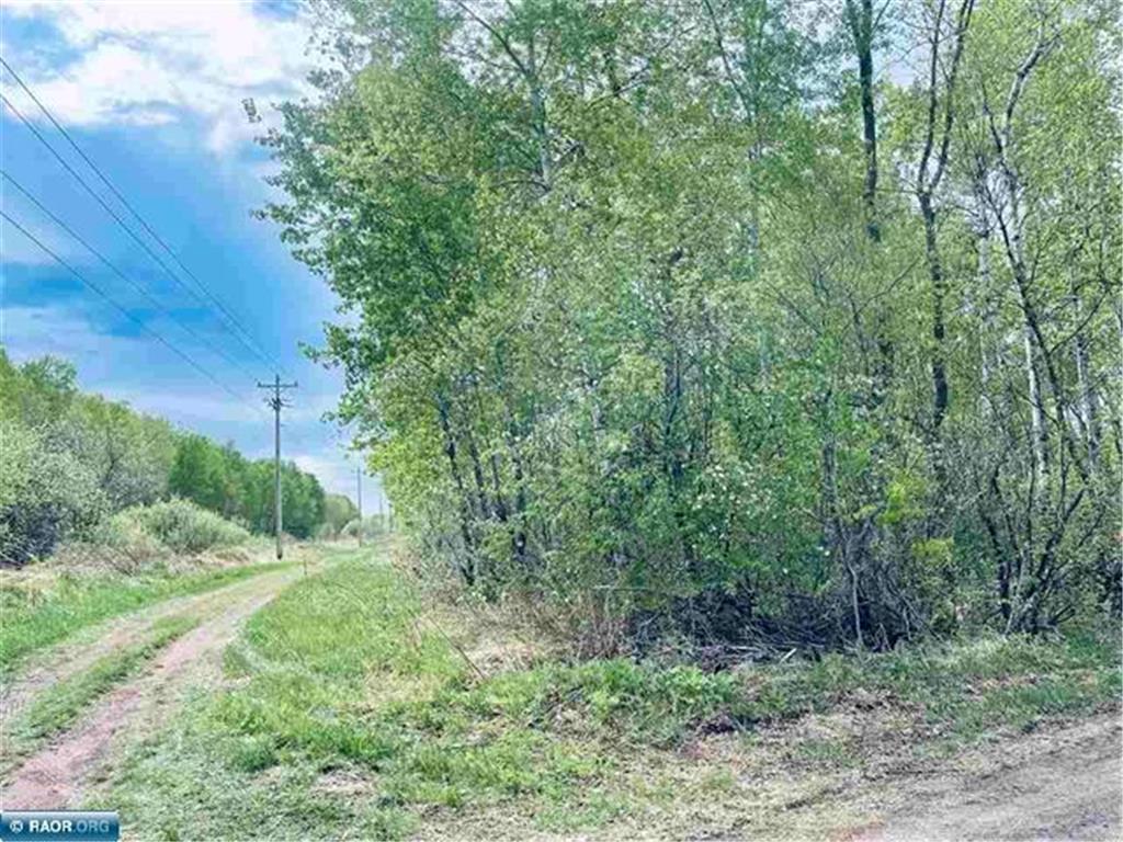 TBD 1st St Leetonia Hibbing MN 55746 6723134 image5