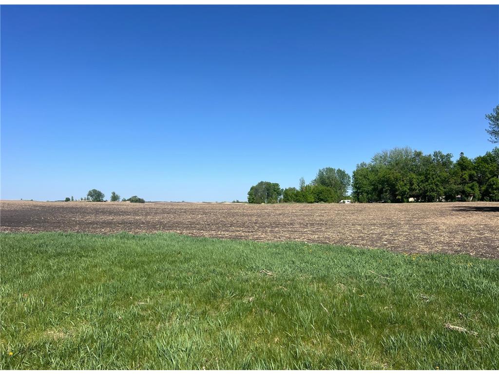 TBD 1st Street N Hoffman MN 56339 6672982 image9
