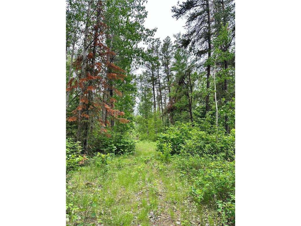 TBD 1st Street NW Menahga MN 56464 6566630 image1