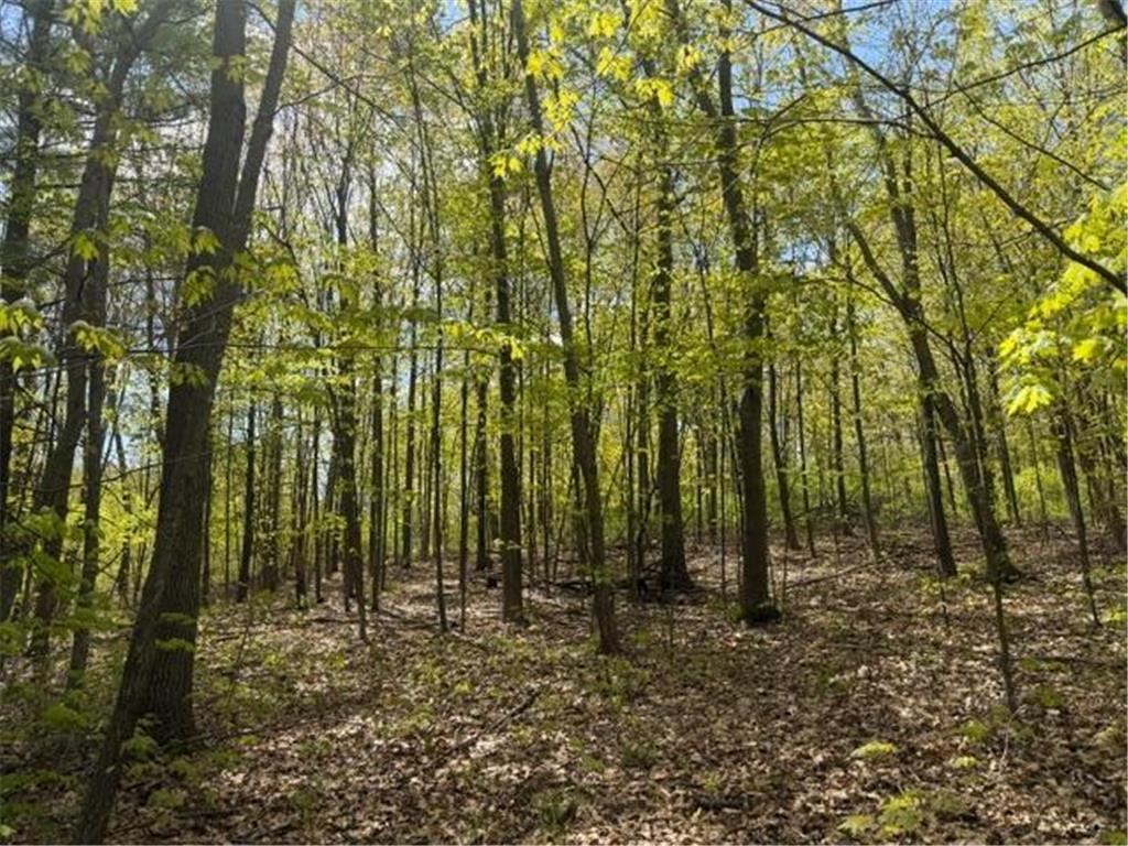 TBD 1st Street Taylors Falls MN 55084 7062174 image1