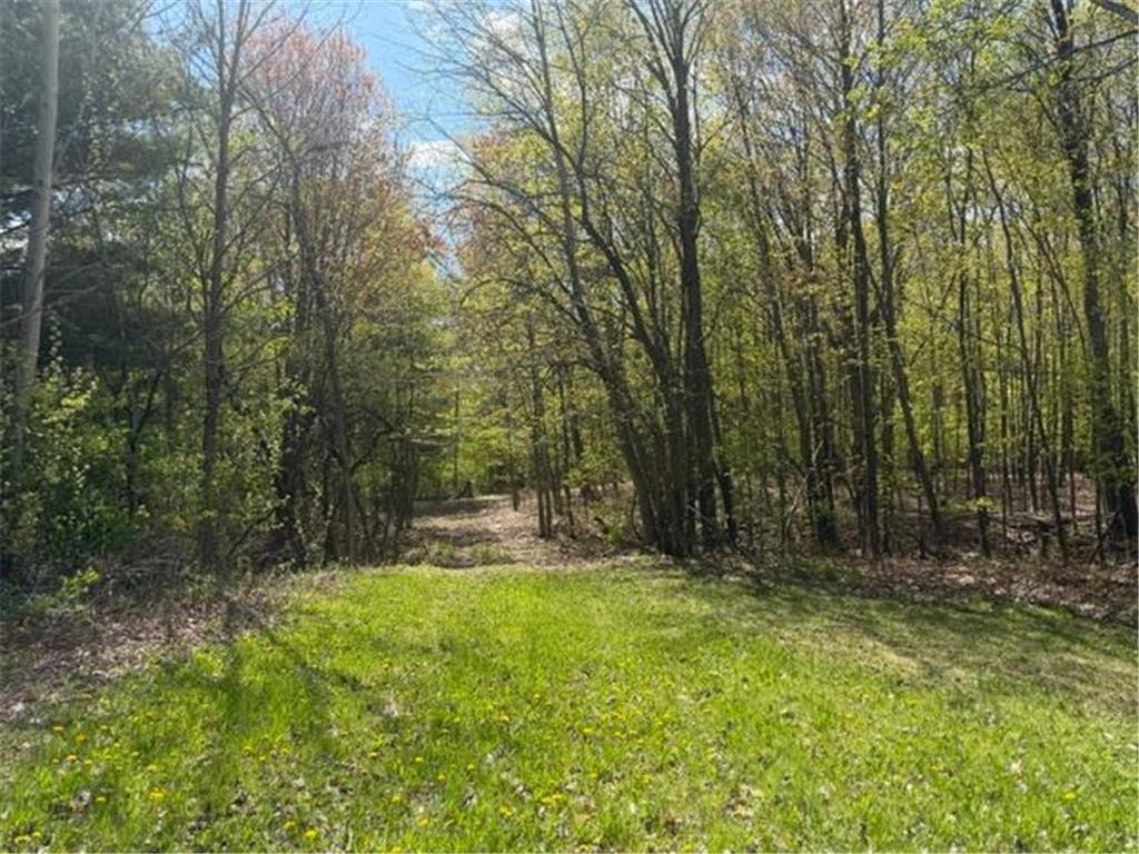 TBD 1st Street Taylors Falls MN 55084 7062174 image10