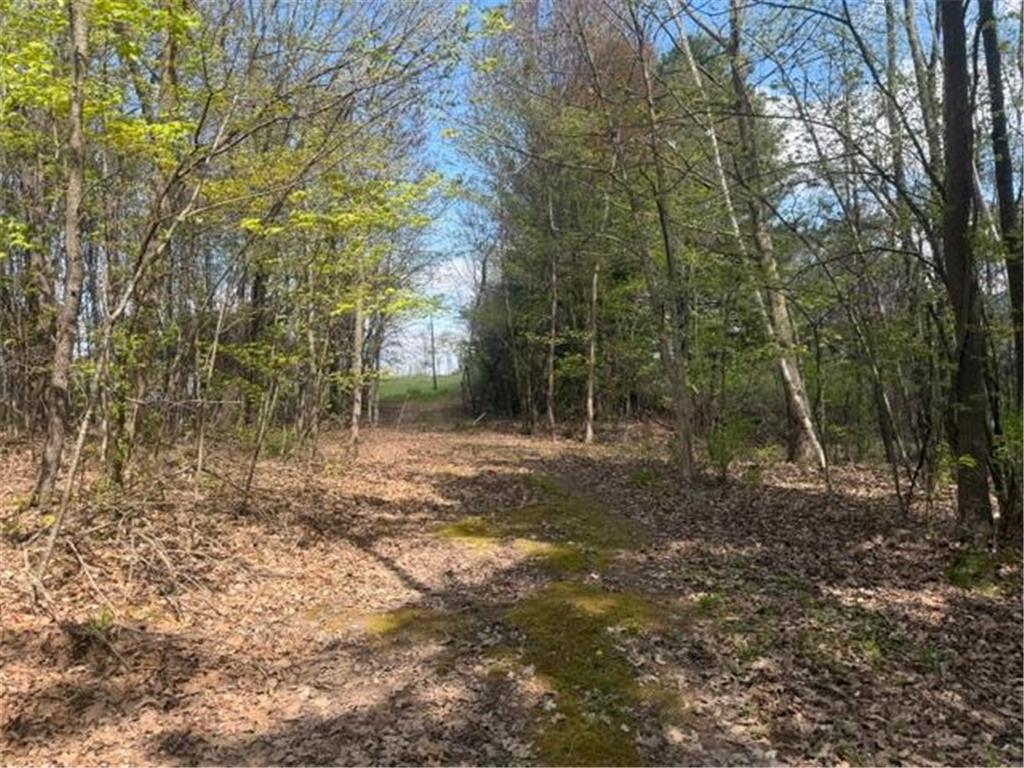 TBD 1st Street Taylors Falls MN 55084 7062174 image2