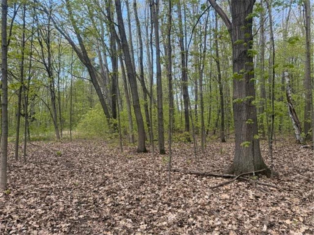 TBD 1st Street Taylors Falls MN 55084 7062174 image4