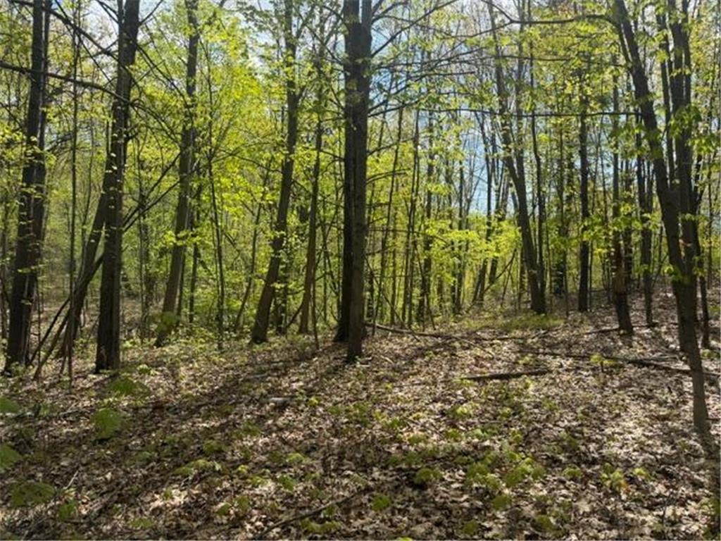 TBD 1st Street Taylors Falls MN 55084 7062174 image8
